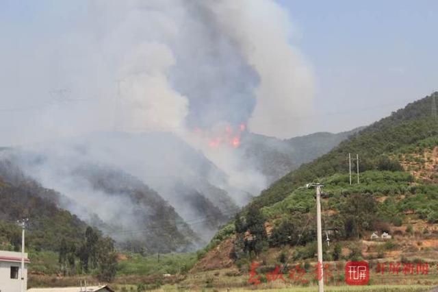 祿勸森林火災(zāi)