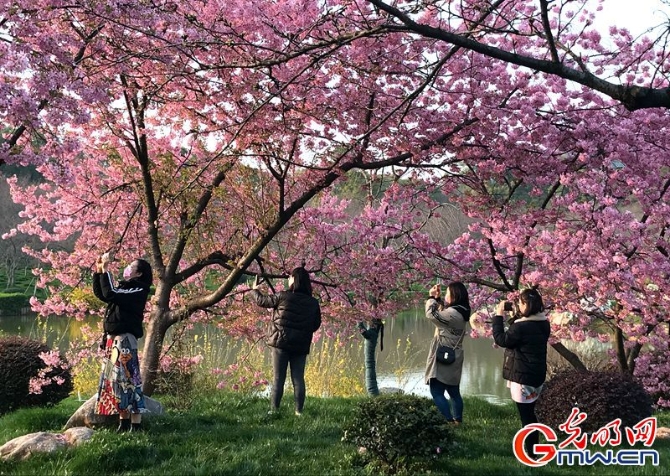 圖片故事丨解封前的武漢有序重啟，我們期待“你”光彩重生！