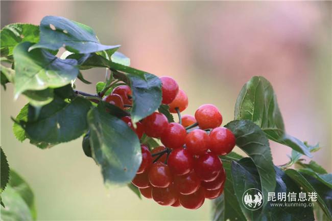 564600302a2e1d5 564600302a2e1d5