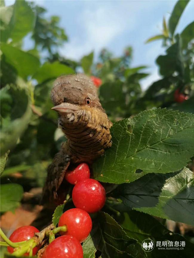 f5df8b72b6953544 f5df8b72b6953544