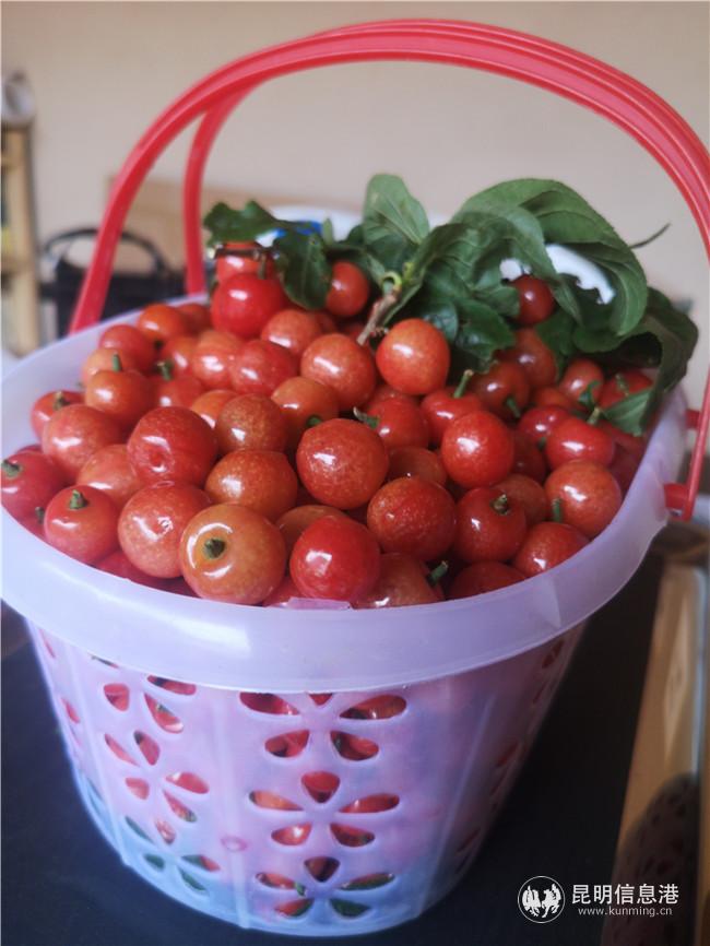 fab20d1c78c1d136938eeaa3b809836 fab20d1c78c1d136938eeaa3b809836