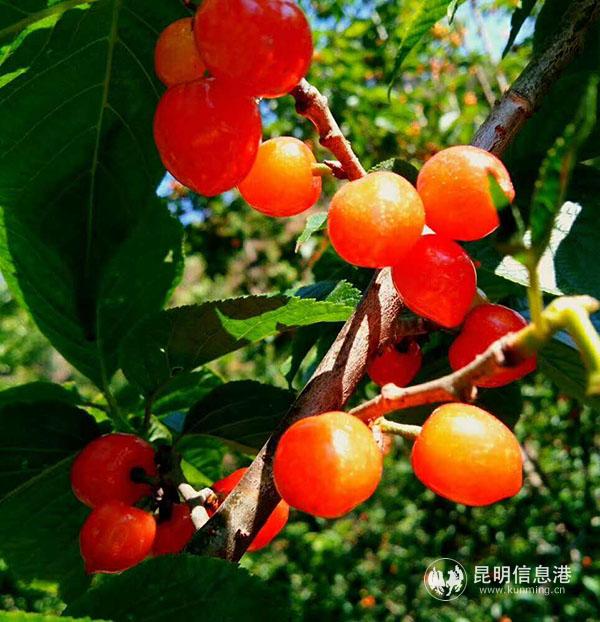 微信圖片_20200410232035 微信圖片_20200410232035