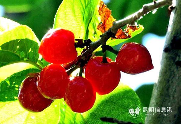 微信圖片_20200410232040 微信圖片_20200410232040