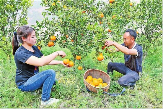 QQ截圖20200413082914