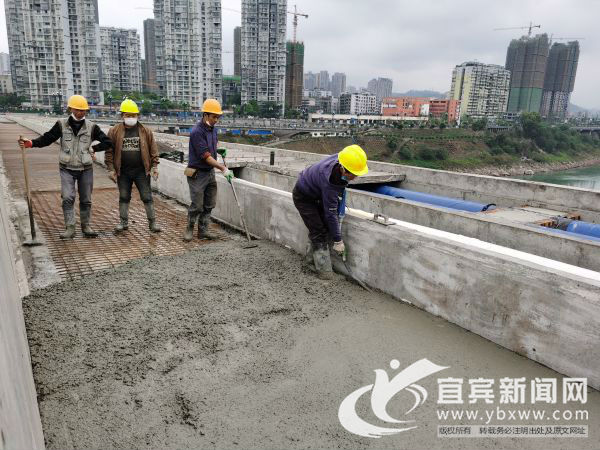 1586778497556779.jpg 1.jpg