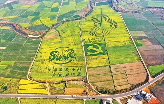 QQ截圖20200415080321 QQ截圖20200415080321