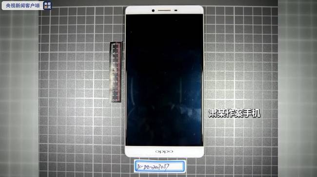 退休干部招募“敢死隊”采購武器 妄圖暴力巔峰國家政權被抓