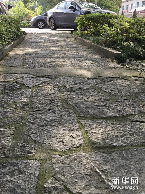 這是4月9日在張家界市區(qū)一路面拍攝的遠(yuǎn)古海洋生物化石地板。新華社記者 蘇曉洲 攝