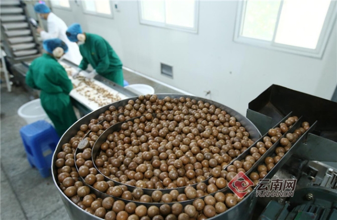 推進八大產(chǎn)業(yè) 打造“三張牌” 云南發(fā)展新動能正在形成8.jpg