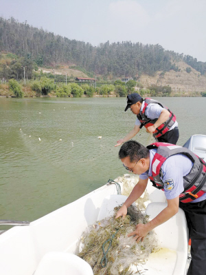 60201587315285912 60201587315285912