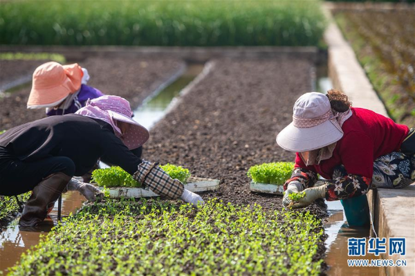 00301626473_3bedd5e0