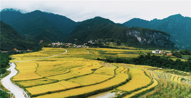 00301623374_521988f1