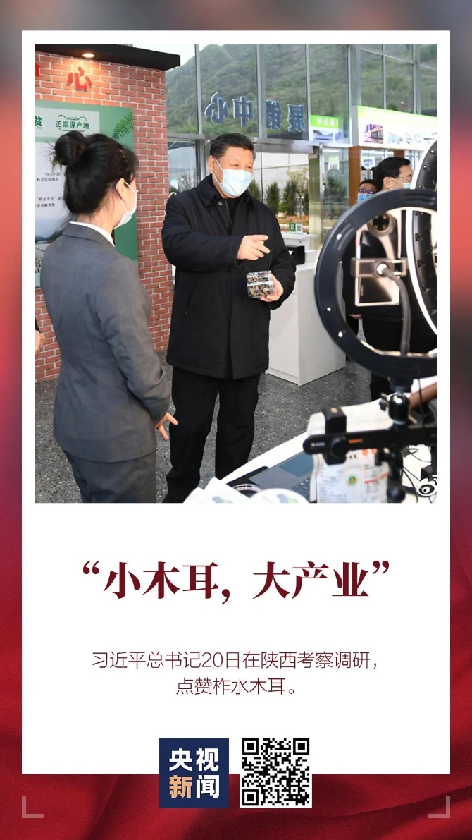 1587432965893_545_1080x1920