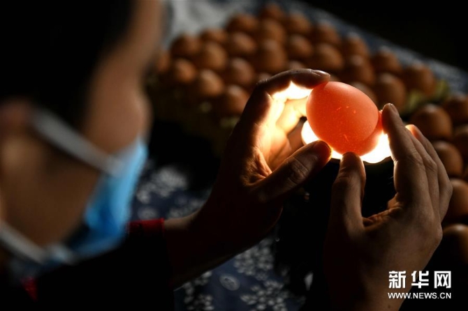 #（社會）（3）精美的蛋雕藝術(shù)