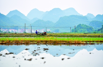 穩(wěn)是大局、保是前提，“六保”如何齊發(fā)力