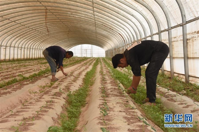 （決戰(zhàn)決勝脫貧攻堅(jiān)·圖文互動(dòng)）（1）“再也不用過(guò)窮日子了！”