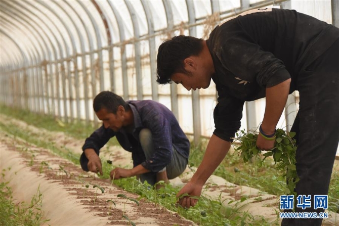 （決戰(zhàn)決勝脫貧攻堅(jiān)·圖文互動(dòng)）（4）“再也不用過(guò)窮日子了！”