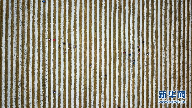 （在習(xí)近平新時(shí)代中國特色社會(huì)主義思想指引下——新時(shí)代新作為新篇章·習(xí)近平總書記關(guān)切事·圖文互動(dòng)）（6）啃下最后的硬骨頭——脫貧攻堅(jiān)掛牌督戰(zhàn)進(jìn)行時(shí)