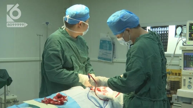 男子臉部被射15.5顆鋼珠，竟說是“自己走火”？