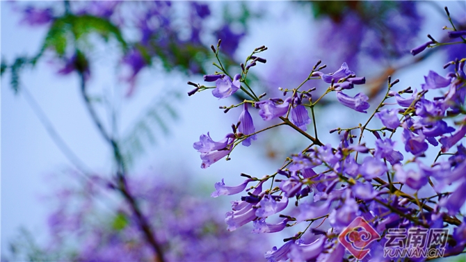 00301633590_fd114463 00301633590_fd114463