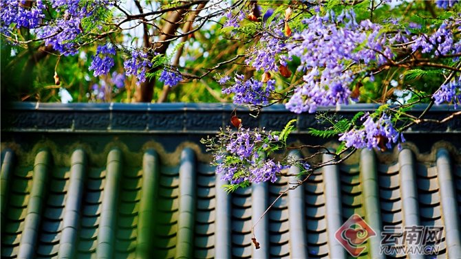 00301633601_c7fe30e4 00301633601_c7fe30e4