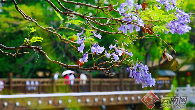 00301633605_3e72b0a9 00301633605_3e72b0a9