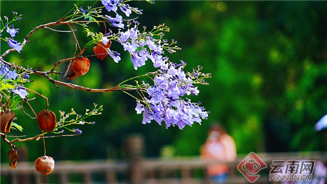 00301633606_005cf1e7 00301633606_005cf1e7