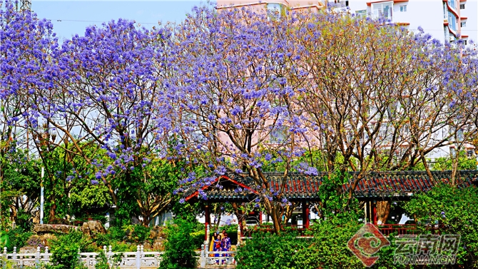 00301633613_ed7d816d 00301633613_ed7d816d