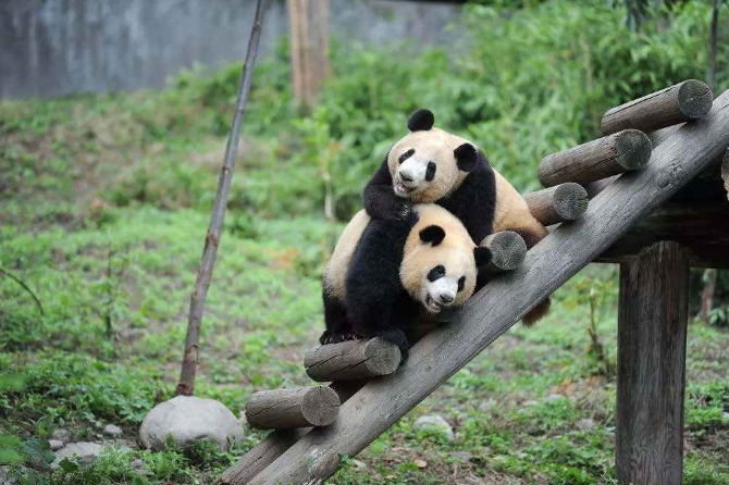 1587454647163021.jpg?x-oss-process=style/w10 5.jpg?x-oss-process=style/w10