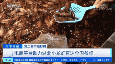 5c5d2f807ff8cf444d8dcb79d683c80c 5c5d2f807ff8cf444d8dcb79d683c80c