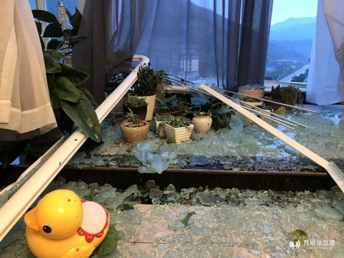 房屋受損 房屋受損