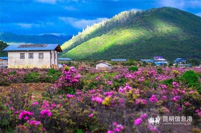 圖片來源于網(wǎng)絡(luò) 圖片來源于網(wǎng)絡(luò)