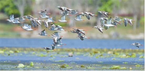 3.9昆明信息港宣傳報道《不好意思，沈陽、長春、石家莊、南昌、哈爾濱已經(jīng)比不贏昆明！》