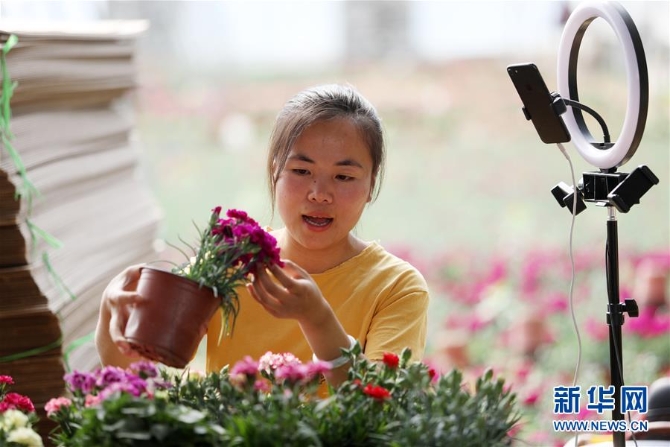 #（社會(huì)）（1）直播暢通銷售路