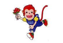 《滇金絲猴3》紀錄片重回當年的營地拍攝