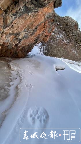 《滇金絲猴3》紀錄片重回當年的營地拍攝