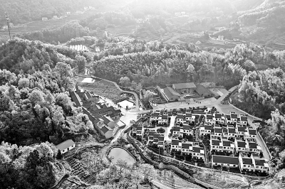 嶺上開遍映山紅