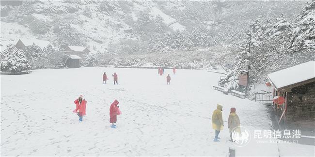 微信圖片_20200425205550 微信圖片_20200425205550