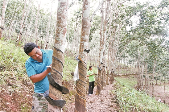 微信截圖_20200426080139 微信截圖_20200426080139