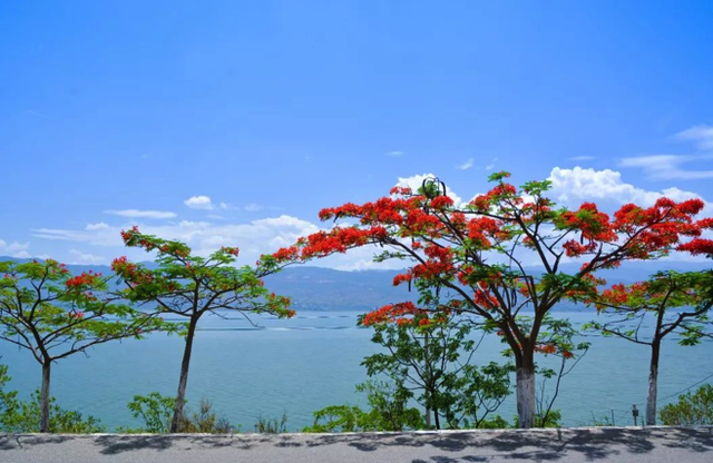 水美鄉(xiāng)村