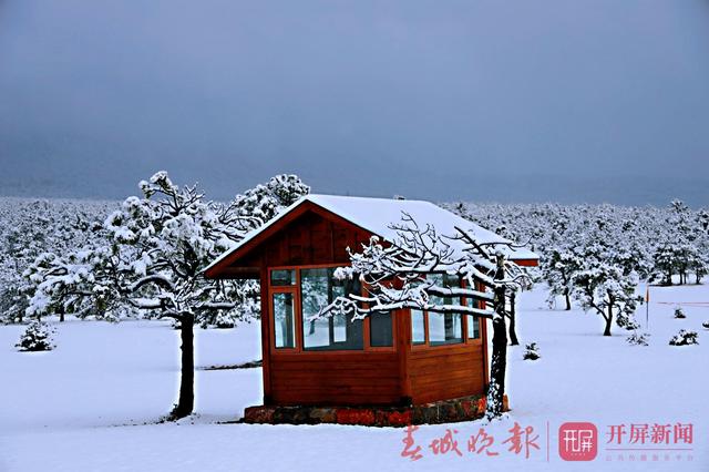 玉龍雪山四月飄雪6.jpg