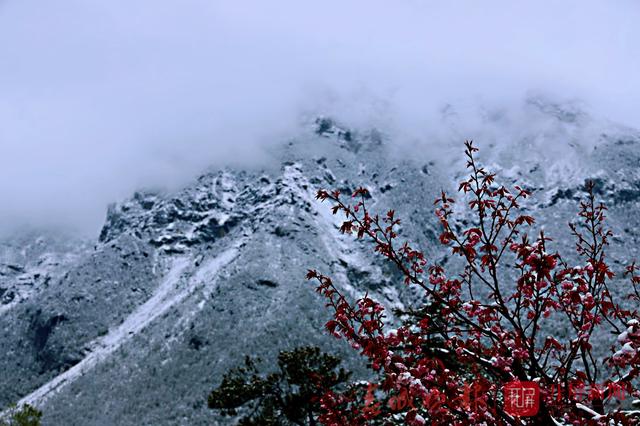 玉龍雪山四月飄雪4.jpg