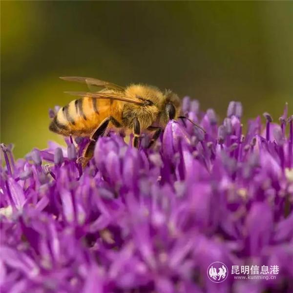 1973248198 1973248198