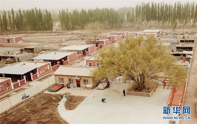 (決戰(zhàn)決勝脫貧攻堅(jiān)·圖文互動(dòng))(2)記者手記:塔里木盆地的“感恩樹”