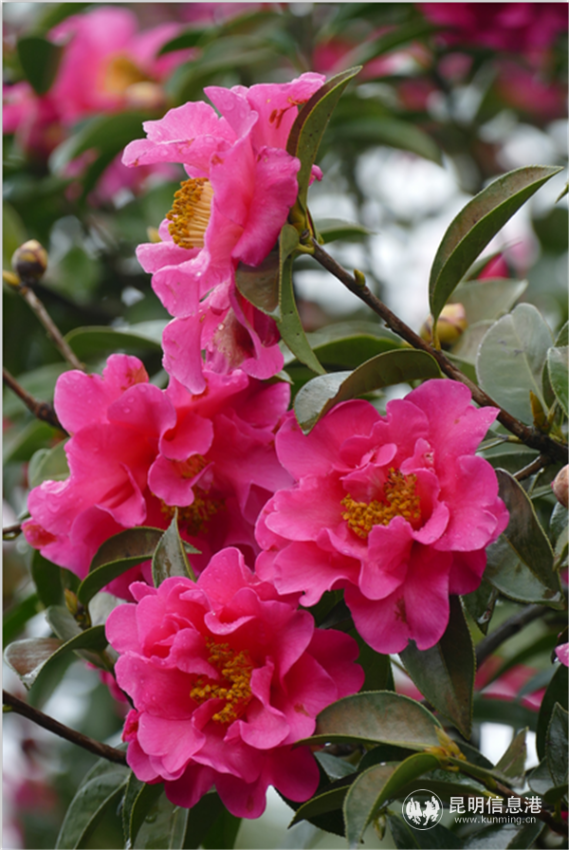 O(IPU72{6B0L6G@HH~NKI[A