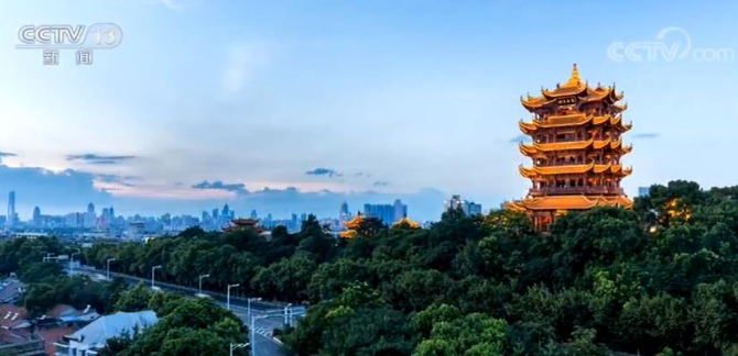 2020042808504923958 2020042808504923958