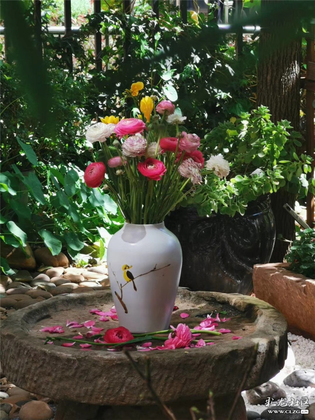 網(wǎng)友“Jennyzhang”投稿作品《心藏一座花園，生活便是一道風景》 (3)