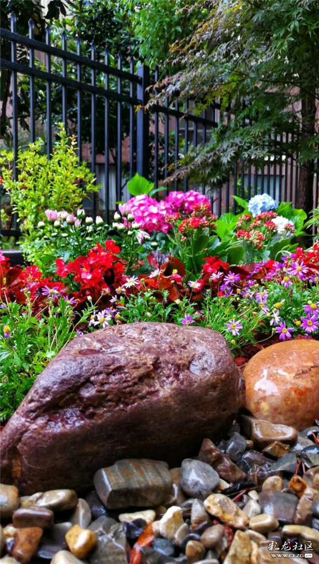 網(wǎng)友“Jennyzhang”投稿作品《心藏一座花園，生活便是一道風景》