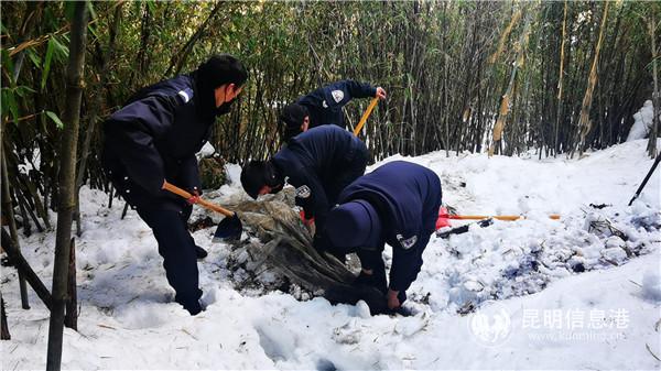 微信圖片_20200428174316