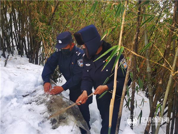 微信圖片_202004281743162